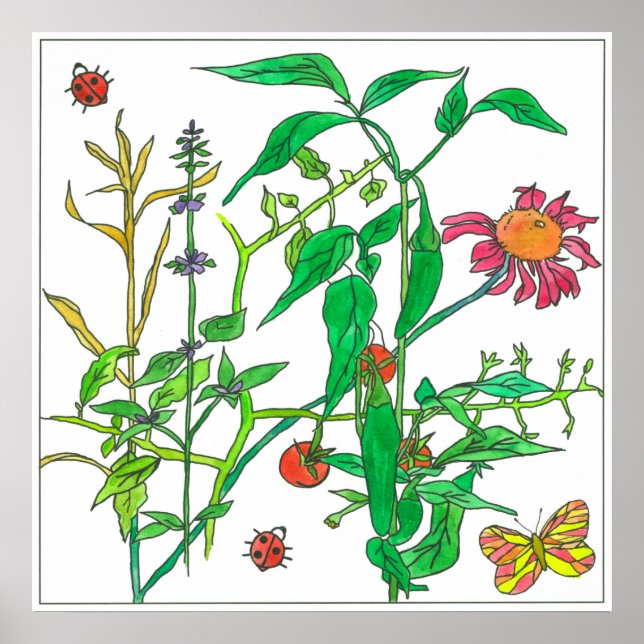 Garden Plants Coneflower Ladybug Butterfly Poster (Front)