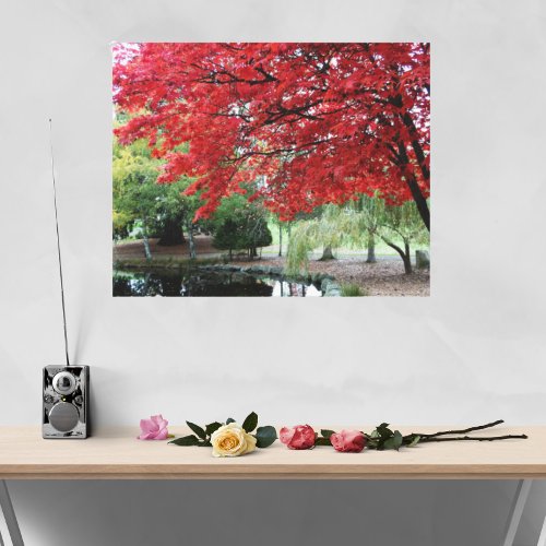 Garden Pond Autumn Colored Maple Leaves Gallery Wrap
