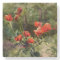 Garden Poppies (by Mildred Anne Butler)