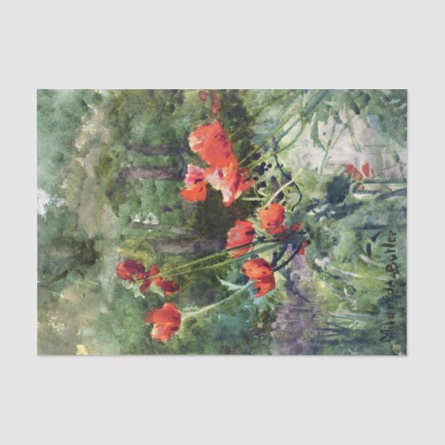 Garden Poppies by Mildred Anne Butler Tissue Paper (Front)