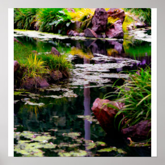 Garden Reflections Poster