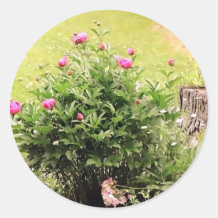 Garden Roses Stickers