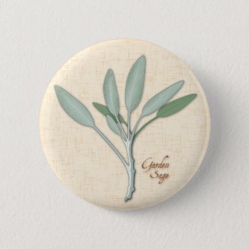 Garden Sage Herb Button by pomegranate_gallery at Zazzle