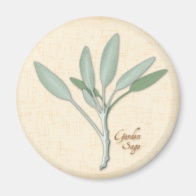 Garden Sage Herb Magnet (Front)