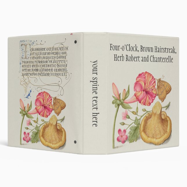 Garden Scene with Flowers, Butterfly and Mushroom 3 Ring Binder (Background)