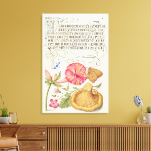 Garden Scene with Flowers, Butterfly and Mushroom Canvas Print