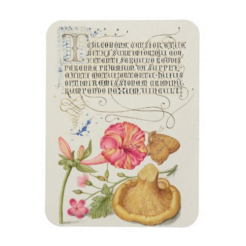 Garden Scene with Flowers, Butterfly and Mushroom Magnet