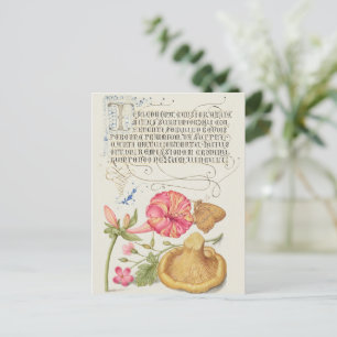 Garden Scene with Flowers, Butterfly and Mushroom Postcard