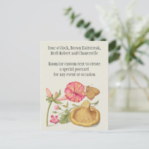 Garden Scene with Flowers, Butterfly and Mushroom Postcard