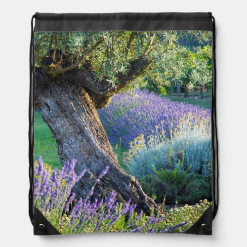 Garden scenic with flowers France Drawstring Bag