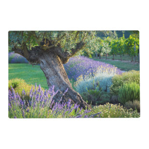 Garden scenic with flowers, France Placemat