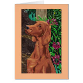 Garden Setter card 2 (Front)