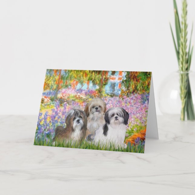 Garden - Shih Tzus (three) Card (Front)