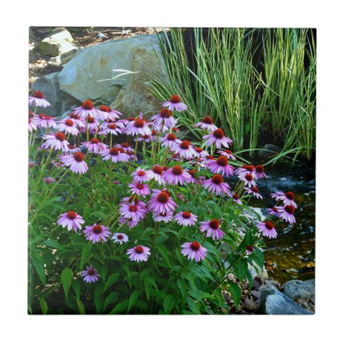 Garden Stream with Purple Coneflowers Ceramic Tile