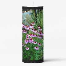 Garden Stream with Purple Coneflowers