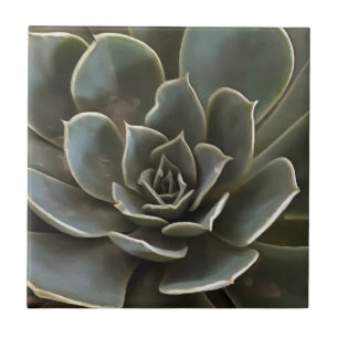 Garden Succulent Green Gray Tones Realistic Art Ceramic Tile