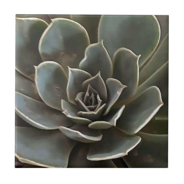 Garden Succulent Green Gray Tones Realistic Art Ceramic Tile (Front)
