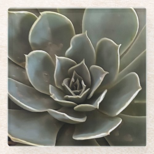 Garden Succulent Green Gray Tones Realistic Art Glass Coaster