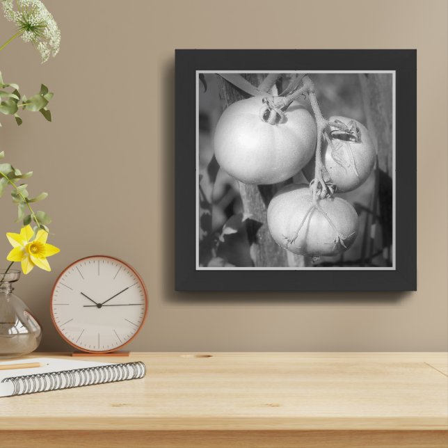 Garden Tomatoes In Black And White Framed Framed Art (Table Top)