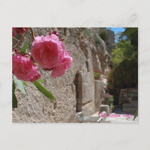 Garden Tomb Jeruselum Isreal Postcard