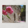 Garden Tomb Jeruselum Isreal Postcard