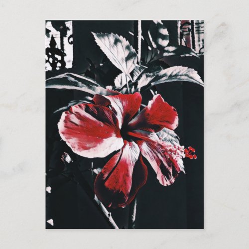 Garden Tropical Hibiscus Artwork Holiday Postcard