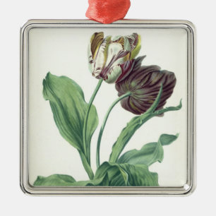 Garden Tulip, from 'Opera Botanica', engraved by L Metal Ornament