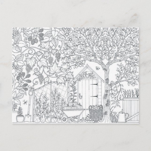 garden two sided adult coloring postcard gift (Front)