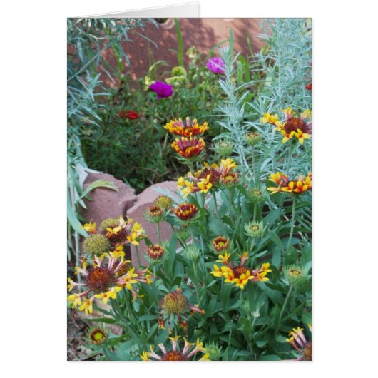 GARDEN VARIETY CARDS (Front)