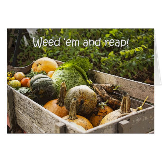 Garden Vegetables Card