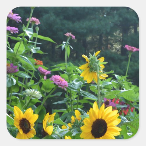 Garden View daisies cosmos sunflowers Square Sticker