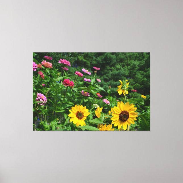 Garden View floral garden, daisies, sunflowers Canvas Print (Front)