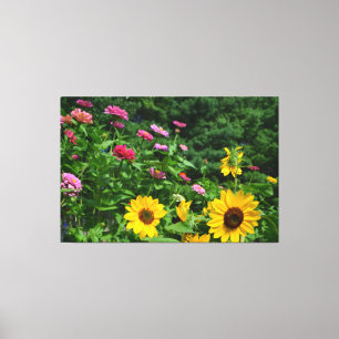 Garden View floral garden, daisies, sunflowers Canvas Print