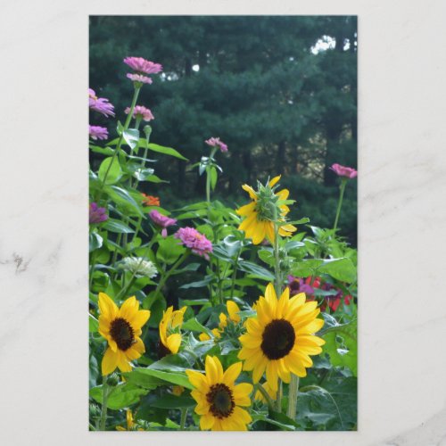Garden View_ sunflower daisies cosmos