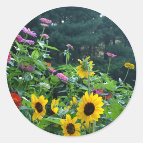 Garden View_ sunflower daisies cosmos Classic Round Sticker
