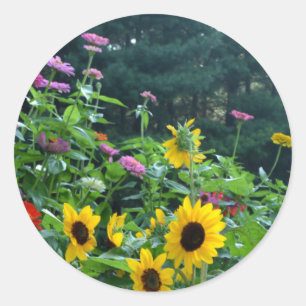 Garden View- sunflower, daisies, cosmos Classic Round Sticker