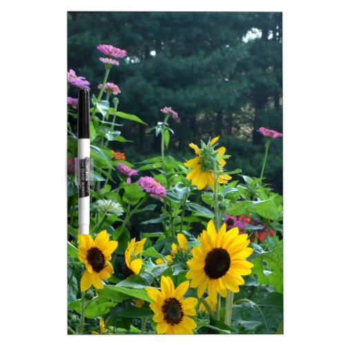 Garden View_ sunflower daisies cosmos Dry Erase Board