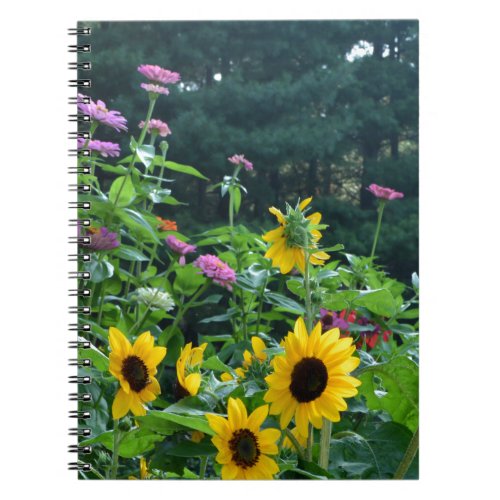 Garden View_ sunflower daisies cosmos Notebook