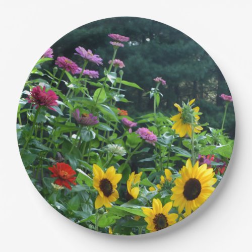Garden View_ sunflower daisies cosmos  Paper Plates