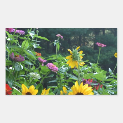 Garden View_ sunflower daisies cosmos Rectangular Sticker