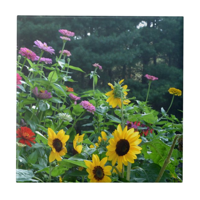 Garden view sunflowers daisies greenery forest tile (Front)