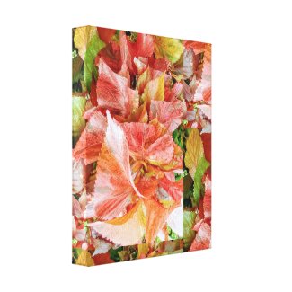 Garden Wall Canvas Print