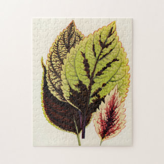 Gardener Botanic Special Gift Jigsaw Puzzle