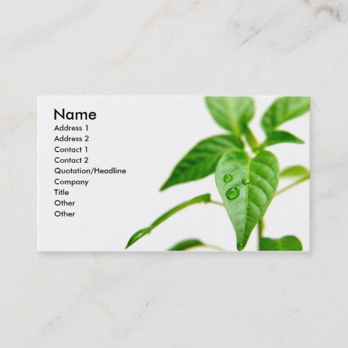 Gardener Bsiness Card Business Card