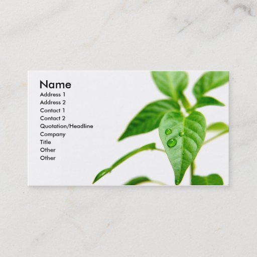 Customizable Gardener Bsiness Card Business Card