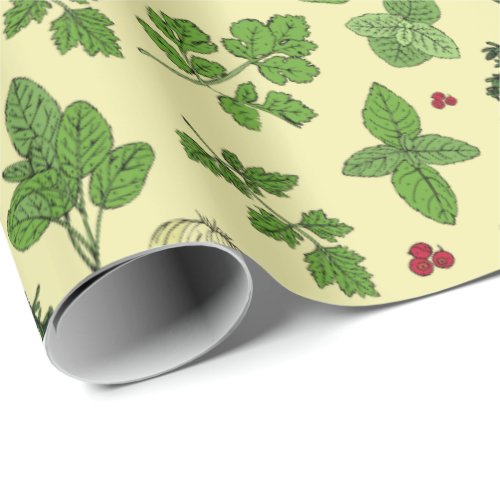 Gardener Hand Drawn Kitchen Culinary Herbs Pattern Wrapping Paper
