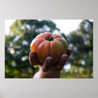 Gardener Holding a Tomato Print