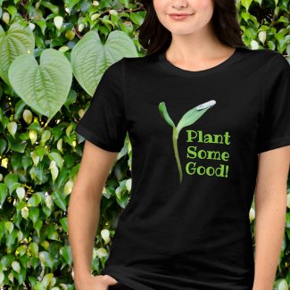 Gardener Plant Some Good Seedling Black