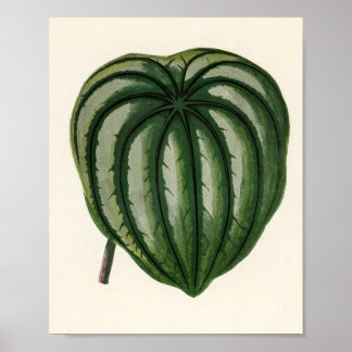 Gardener Plants Poster