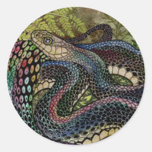 Gardener Snake Study Beyond the Skin Classic Round Sticker